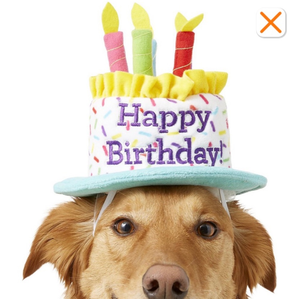 NWT Frisco Happy Birthday Cake Pet Hat